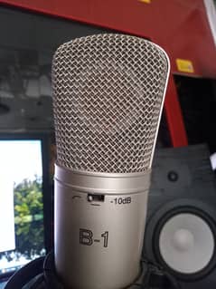 B1