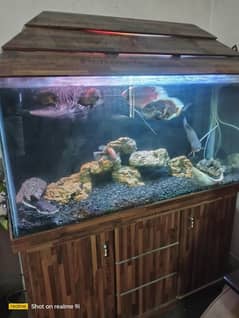Aquarium