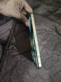 12 pro max colour golden