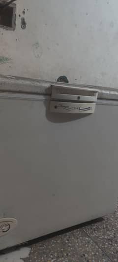 PEL