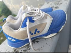 Badminton