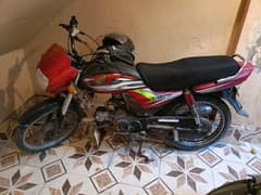 CD 70 Dream