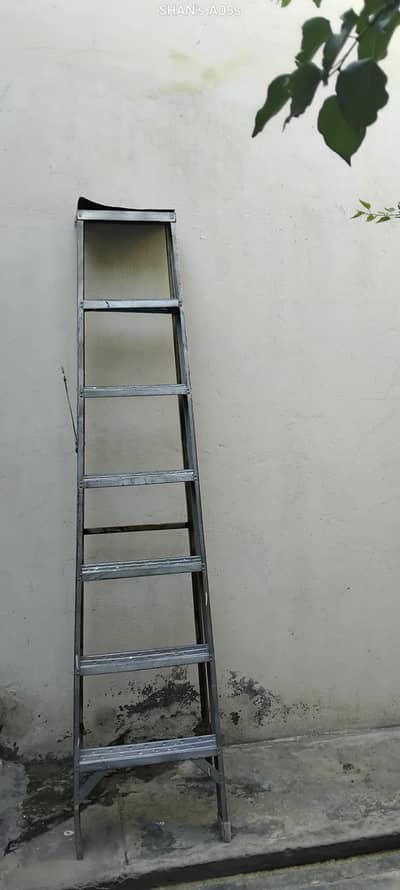 ladder