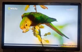 LCD TV For sale