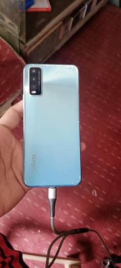 vivo