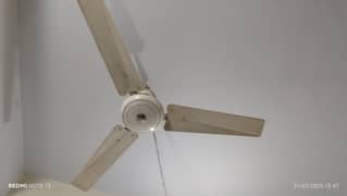 8 Sealing Fans