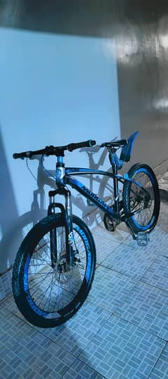 Morgan cycle