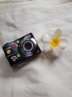 Kodak