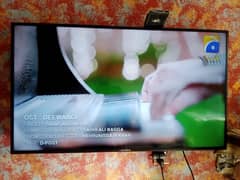 ecostar
