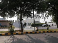 BEAUTIFUL LOCATION PLOT FOR SALE