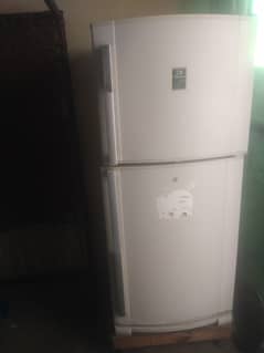 Fridge