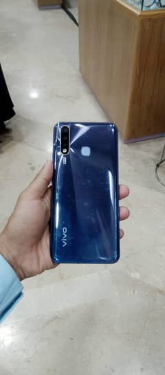 vivo