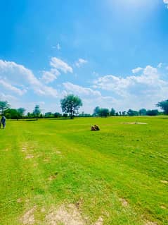 167-Acre Land , With High Productions , Canal Water, Tube Wells , And Beautiful Dera