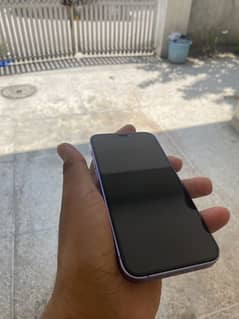 Iphone 12 mini (64)