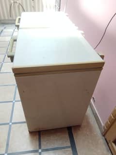 Candy double door d freezer