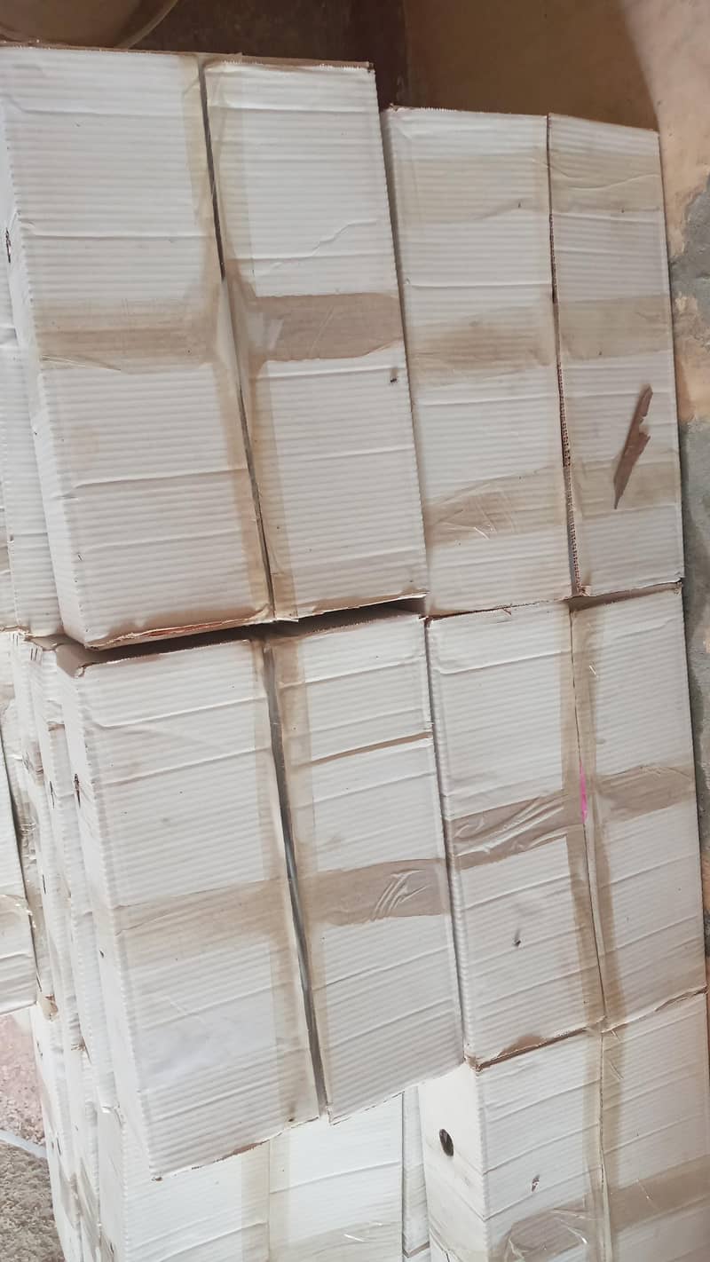 Mosmi Chaunsa Mangoes - Other Business & Industry - 1104100666
