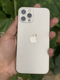 iPhone 12 Pro Golden color Airtight 128GB JV
