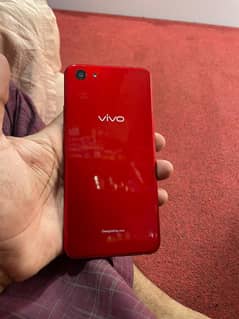 vivo