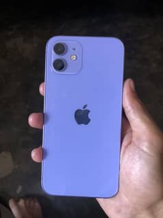 iPhone 12