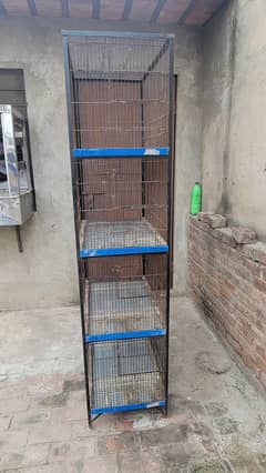 love bird cages all setup for sale