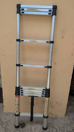 10ft Telescopic Aluminum Ladder - 10/10 Condition