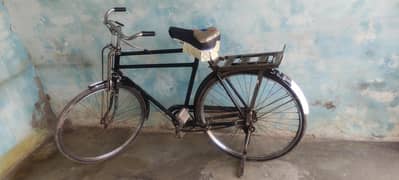 Sohrab cycle 24 inch