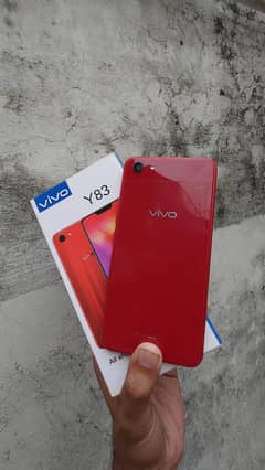 vivo