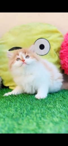 Persian