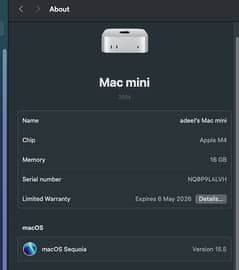Mac Mini m4 [16,256]