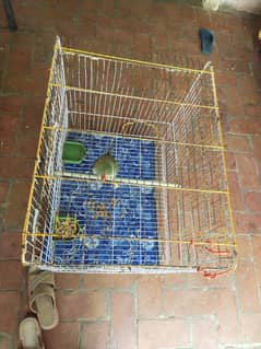 Cage For Sale