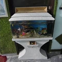 fish equariam with all tings