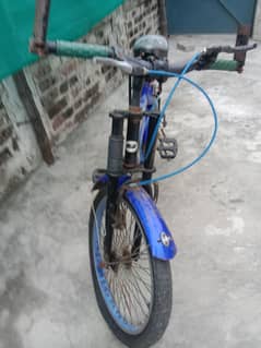 sport