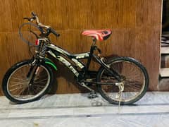 Imported bicycle