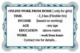 online assignment work and data entry work