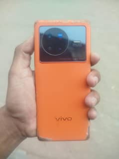 vivo x80 12+12gb256