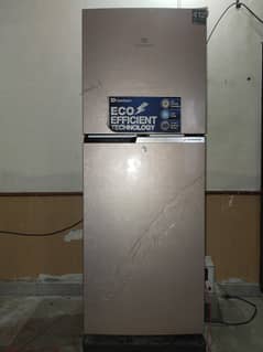 Fridge For sale One year Used Only