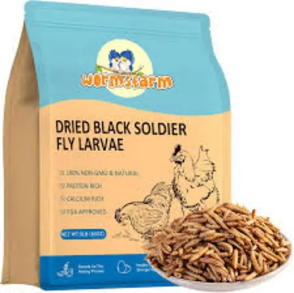 Live Mealworms & Dry BSF Larvae — photo 11