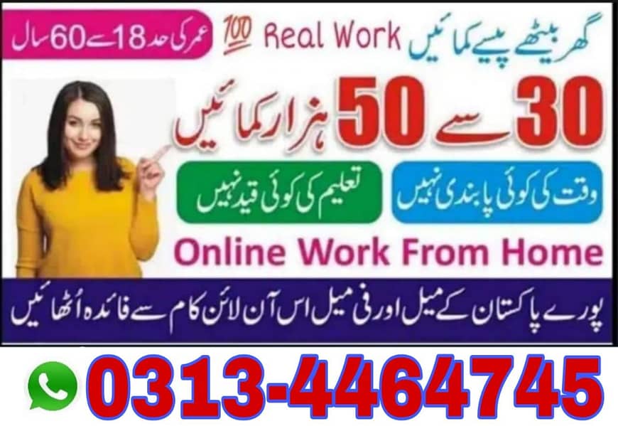 Part time/full time/Online/Data Entry/Typing/Content Writing 0