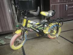 by cycle