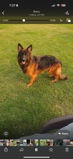 GSD