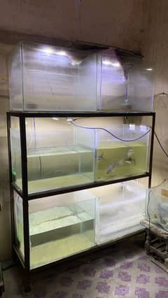 6 Aqurium 2x1.5 and Havy gage iron rack