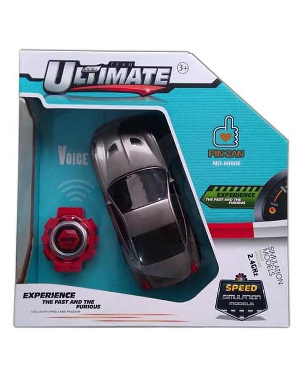 Voice Control Simulation Model Car - Grey