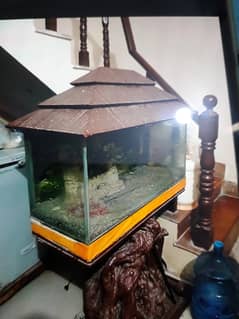 fish.