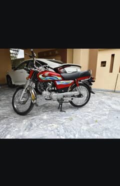 03056528131,,,,