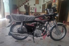 Honda Fury 2024