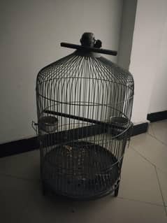 Paroot Cage