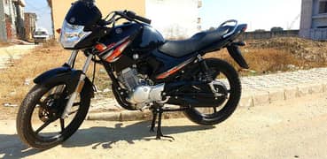 Yamaha
