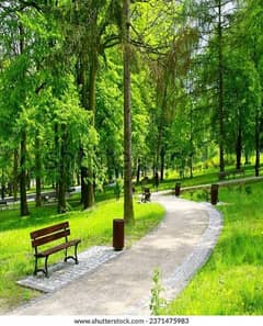 8 Marla Clear Plot For Sale In Military Accounts Society College Road Lahore