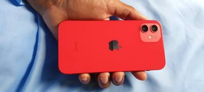 iPhone 12 Pta Approved