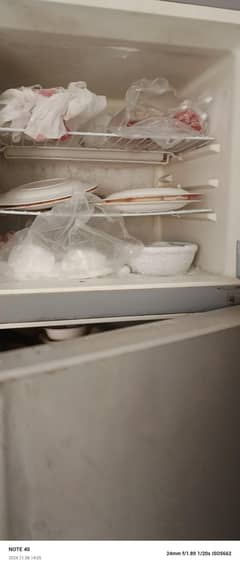 Haier full size fridge